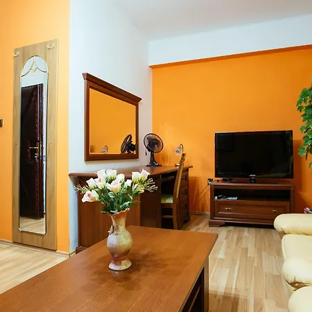 Hotel Central Sala Отель Sala